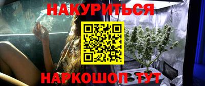 сатива Ивантеевка