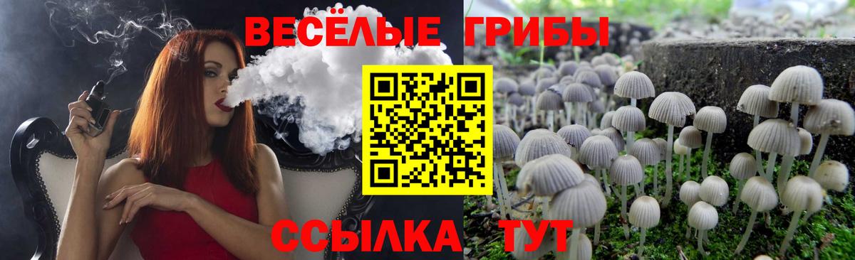 Псилоцибиновые грибы ЛСД Ачинск